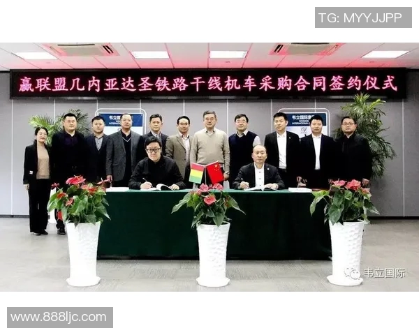 尼日尼亚与几内亚精彩对决直播全程回顾与分析